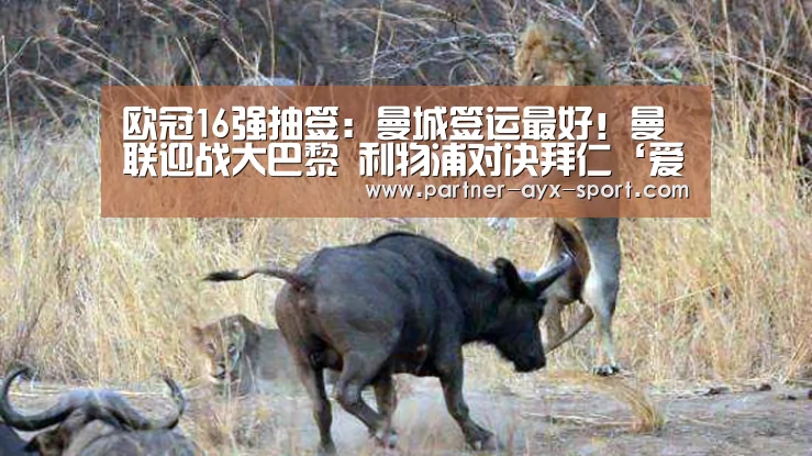 欧冠16强抽签:曼城签运最好!曼联迎战大巴黎 利物浦对决拜仁‘爱游戏官网’(图1) 爱游戏官网