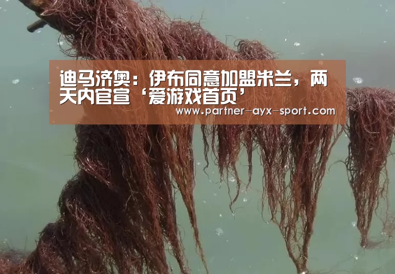 爱游戏首页