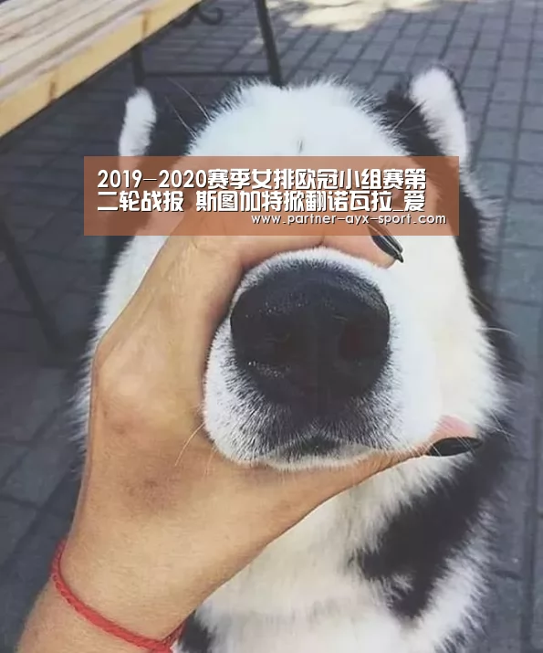 爱游戏首页