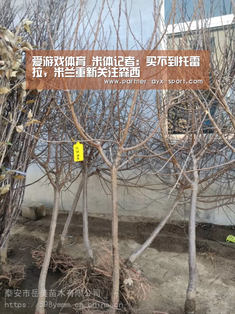 爱游戏体育_米体记者:买不到托雷拉,米兰重新关注森西(图2) 爱游戏体育