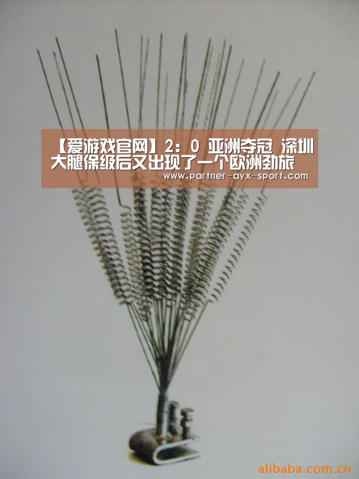爱游戏官网